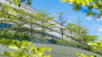 在车站内的旅客可以欣赏到窗外绿树成荫的公园，以及整排的小叶榄仁。分层生长的树冠让阳光从枝叶间透进建筑物内。